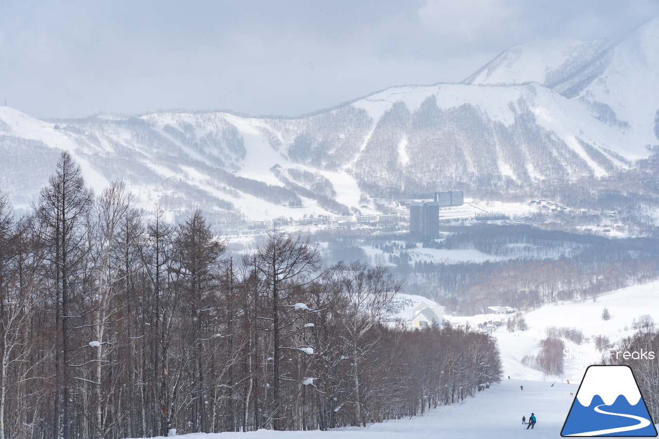 ルスツリゾート｜Mt.イゾラは、驚きの積雪量！春シーズンも広大な滑走エリアを楽しみましょう♪